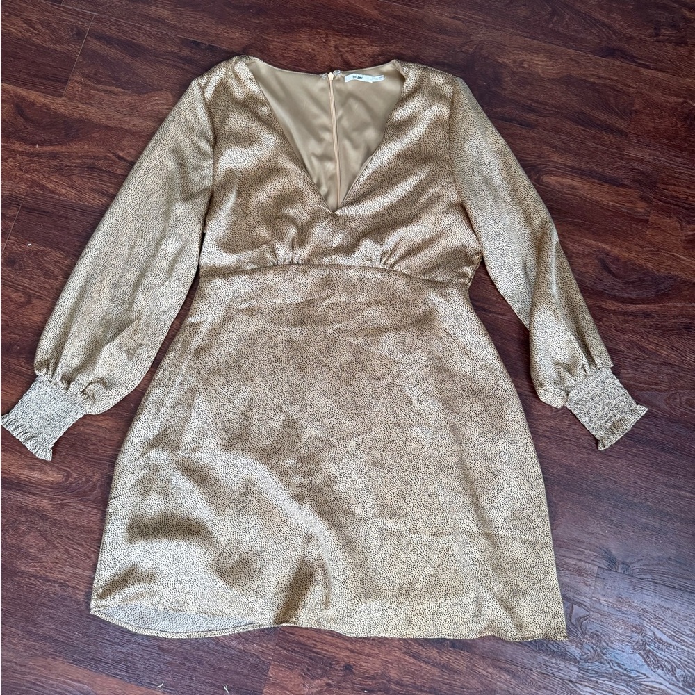 Francesca’s Long Sleeve Dress